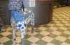 Ceramic mosaic dog on checkered floor