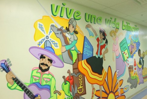 Vida Bilingue Design
